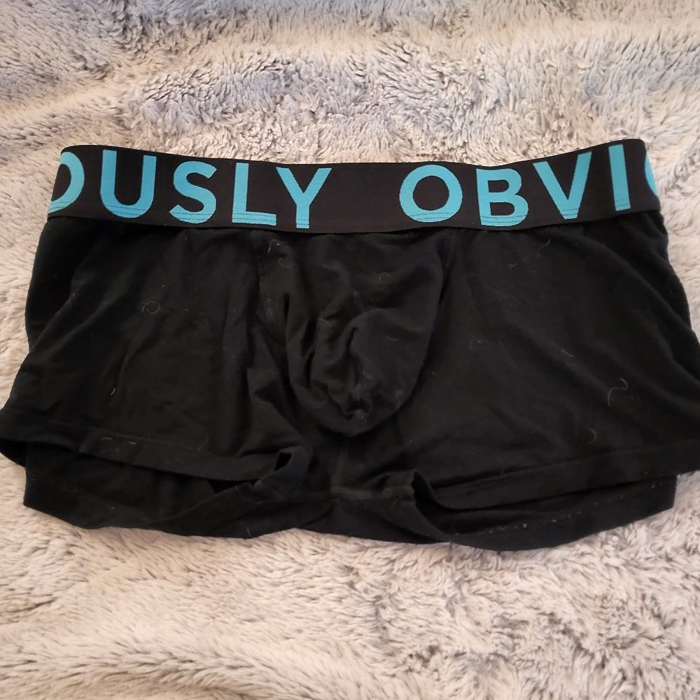 Obviously Everyman Trunk